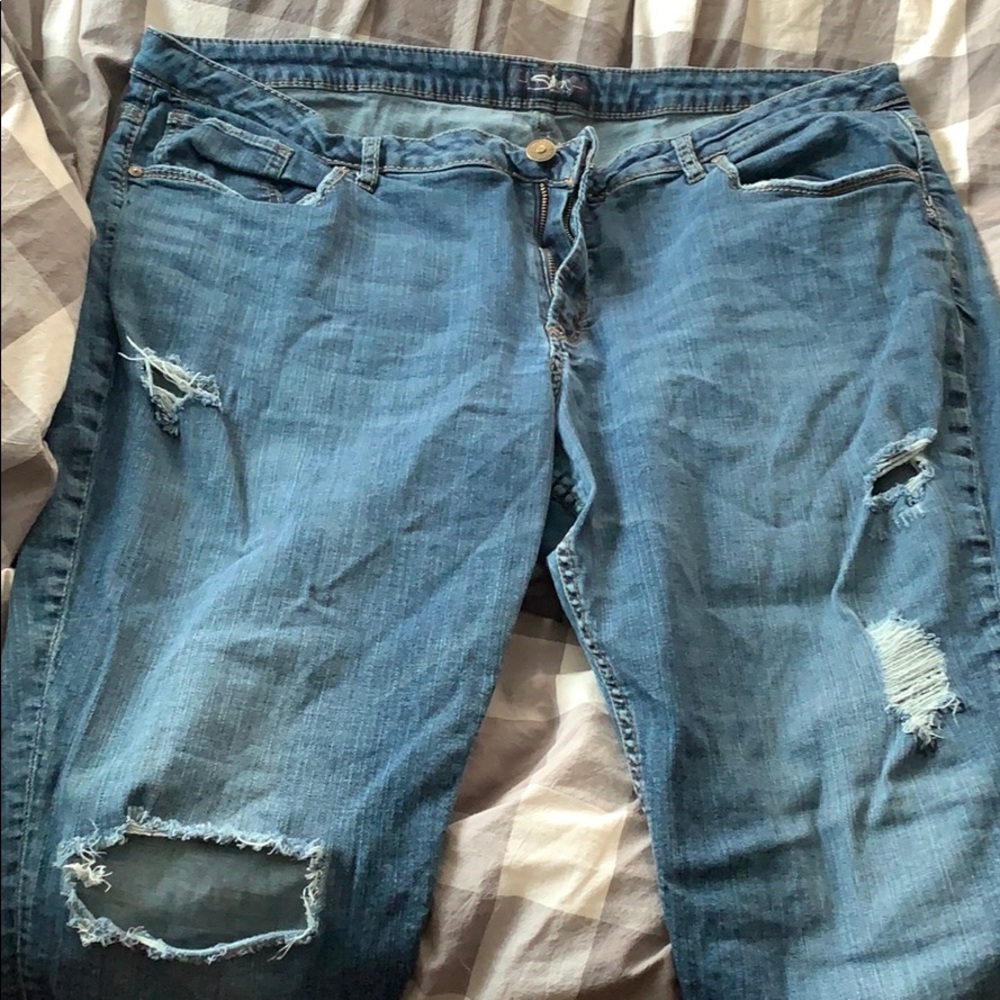 Silver Capri - image 1